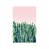 Cactus & Sunset I (Print Only) thumbnail