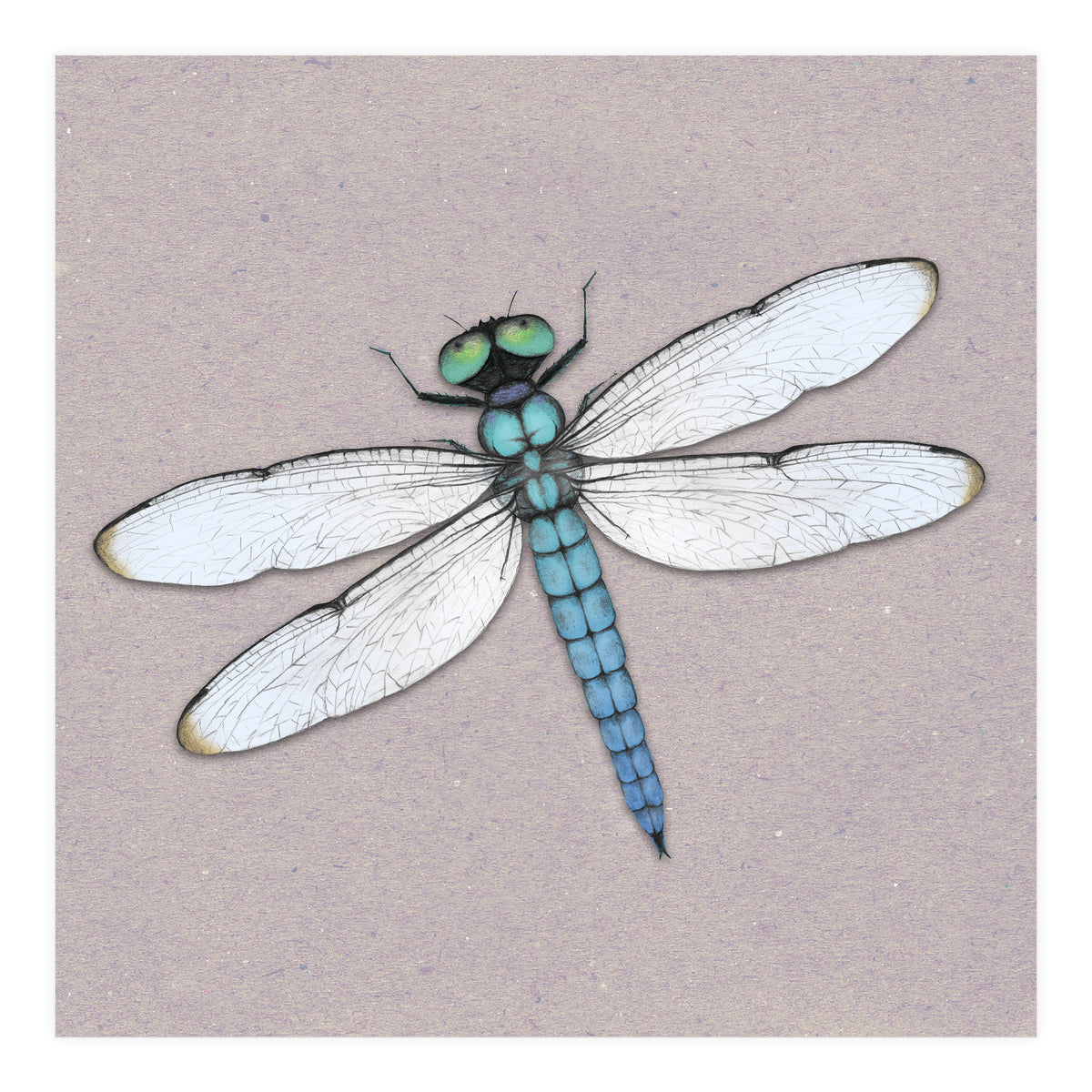 Blue dragonfly (Print Only)