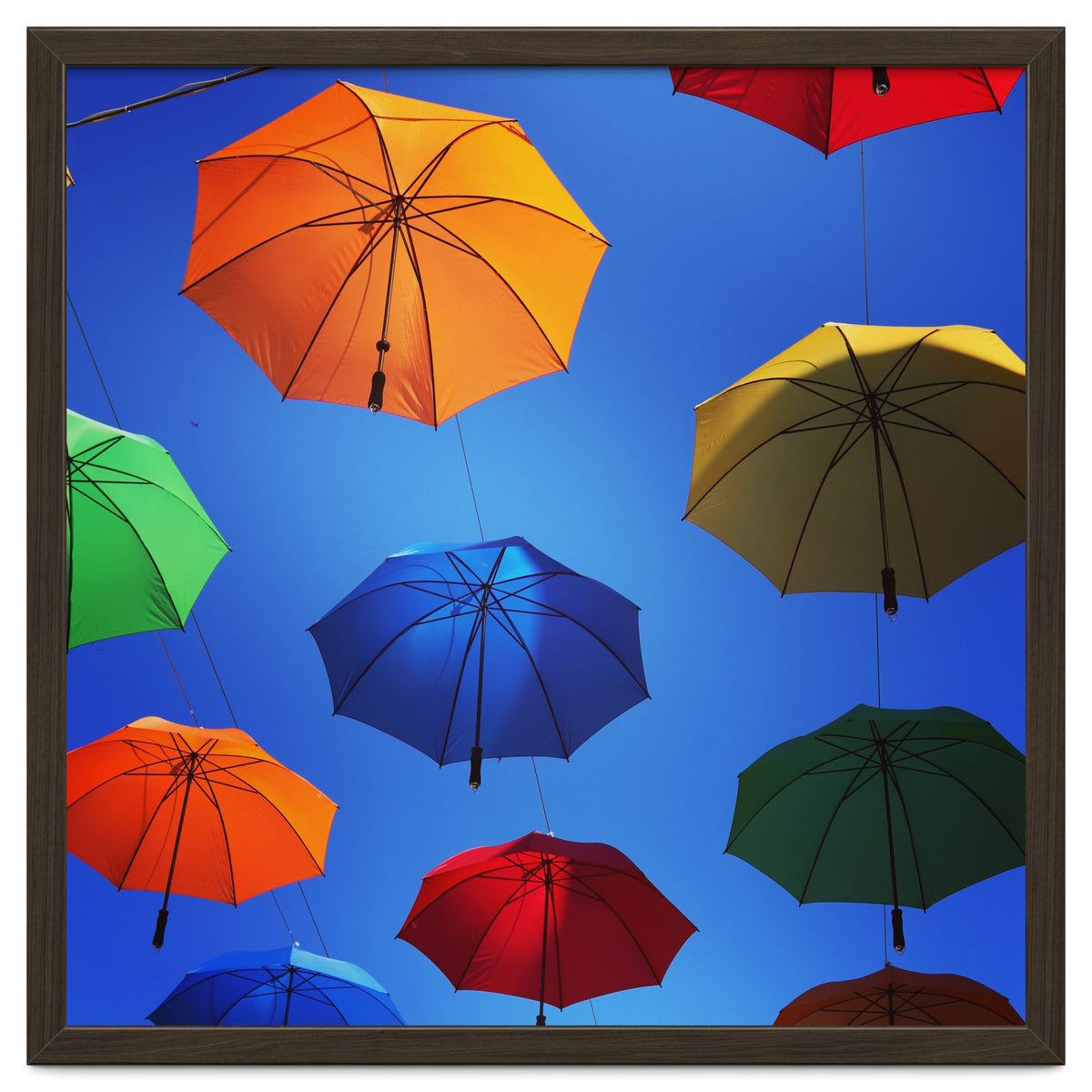 Rainbow umbrellas