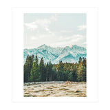 Winter Weather (Print Only) thumbnail