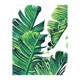 Banana Tree Leaves (Print Only) thumbnail