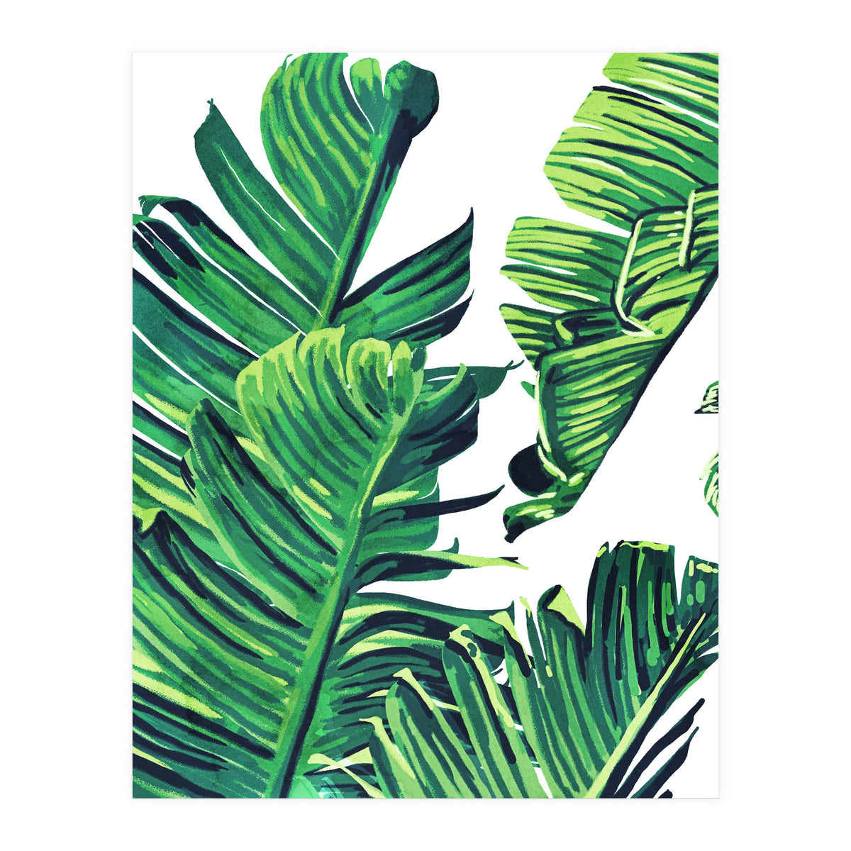 Banana Tree Leaves (Print Only)