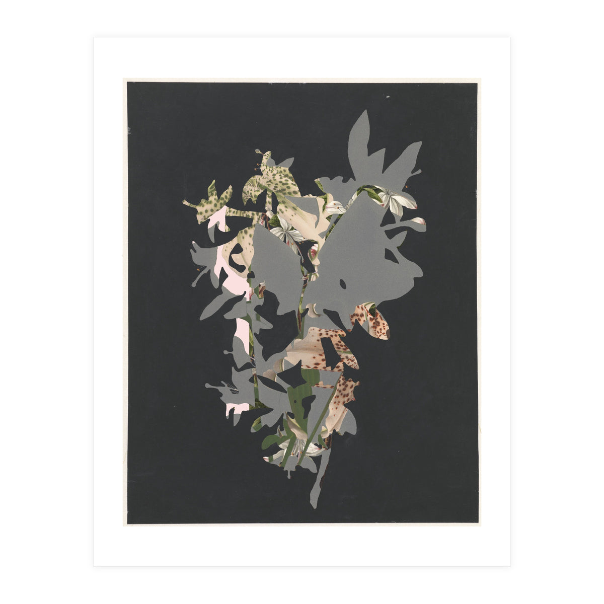 The First Plant · Black (Print Only)