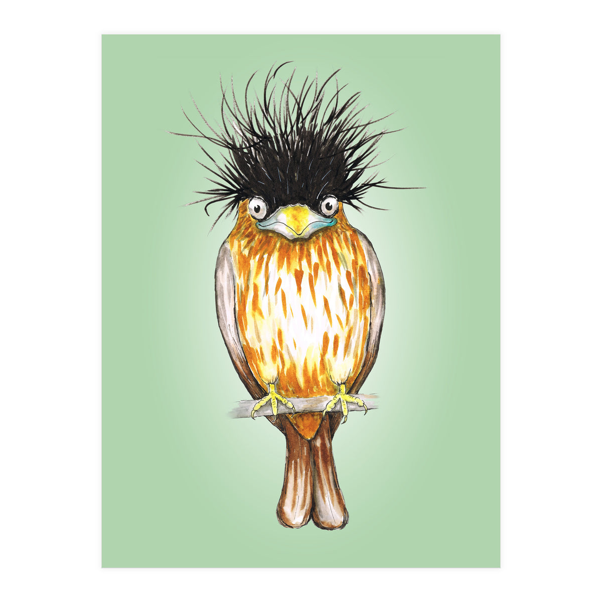 Brahminy starling (Print Only)