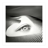 Untrue (Print Only) thumbnail