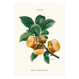 Burger Plant (Print Only) thumbnail