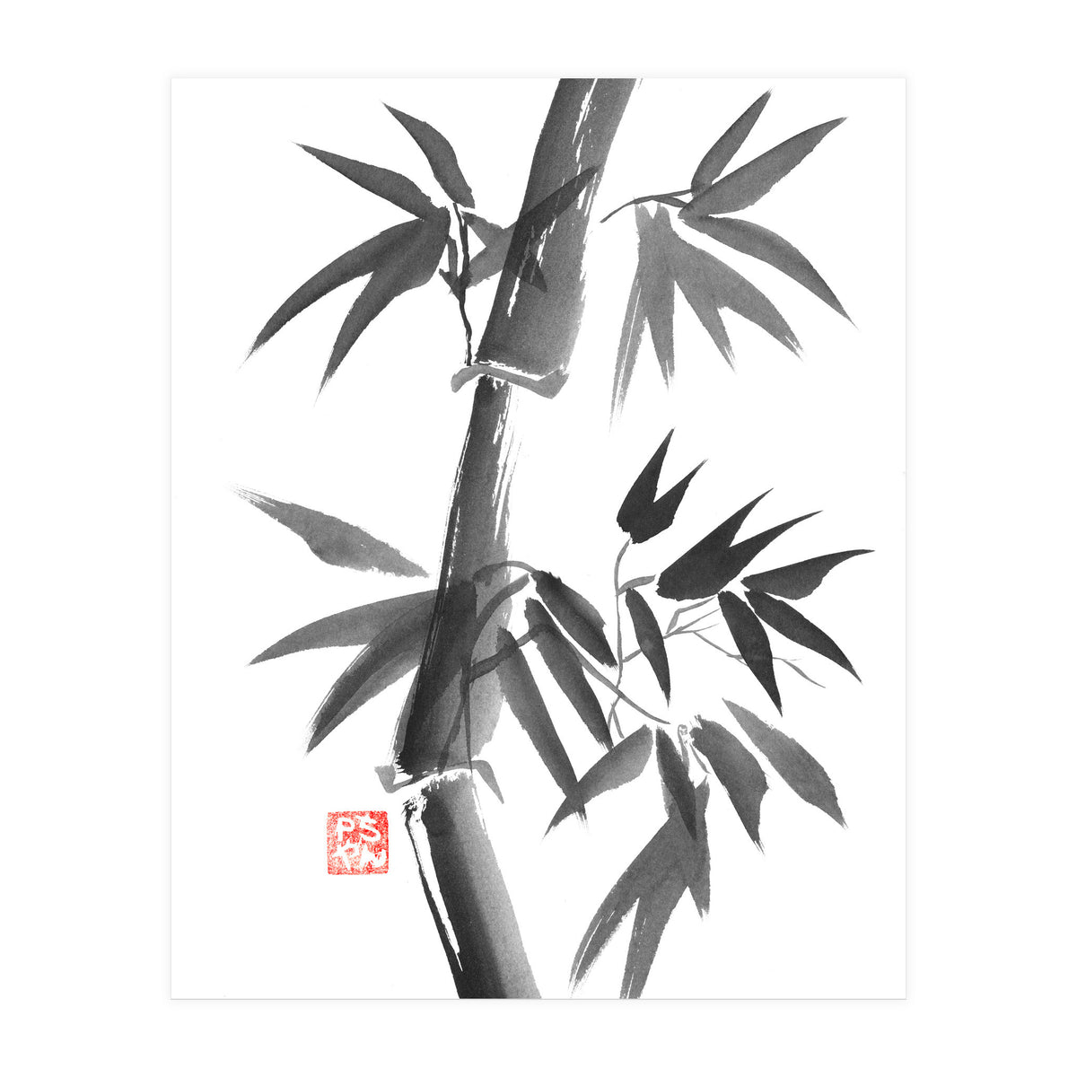 Bamboo 01 (Print Only)