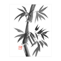 Bamboo 01 (Print Only)