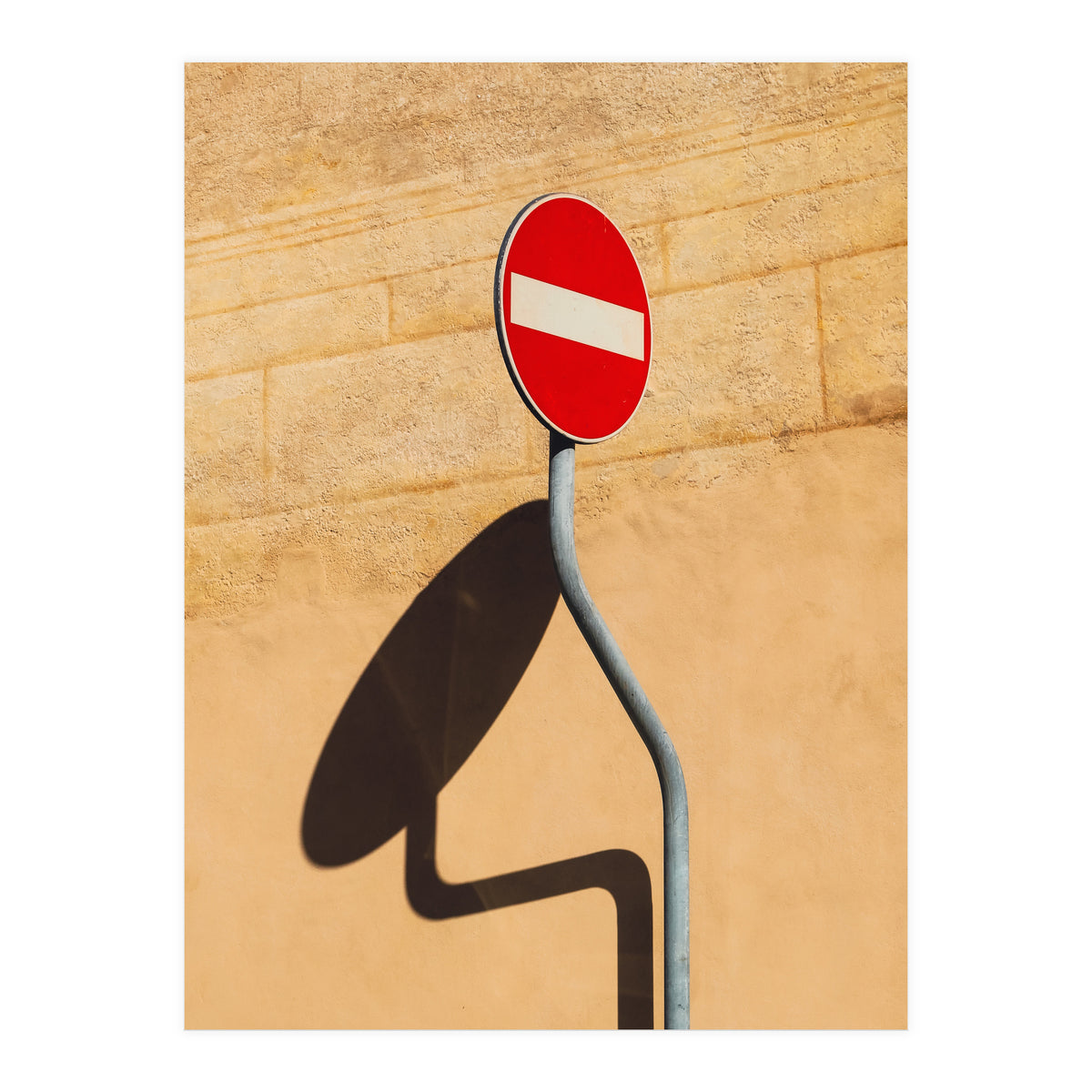 Snake on wall (Print Only)