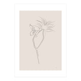 Flower 01 (Print Only) thumbnail