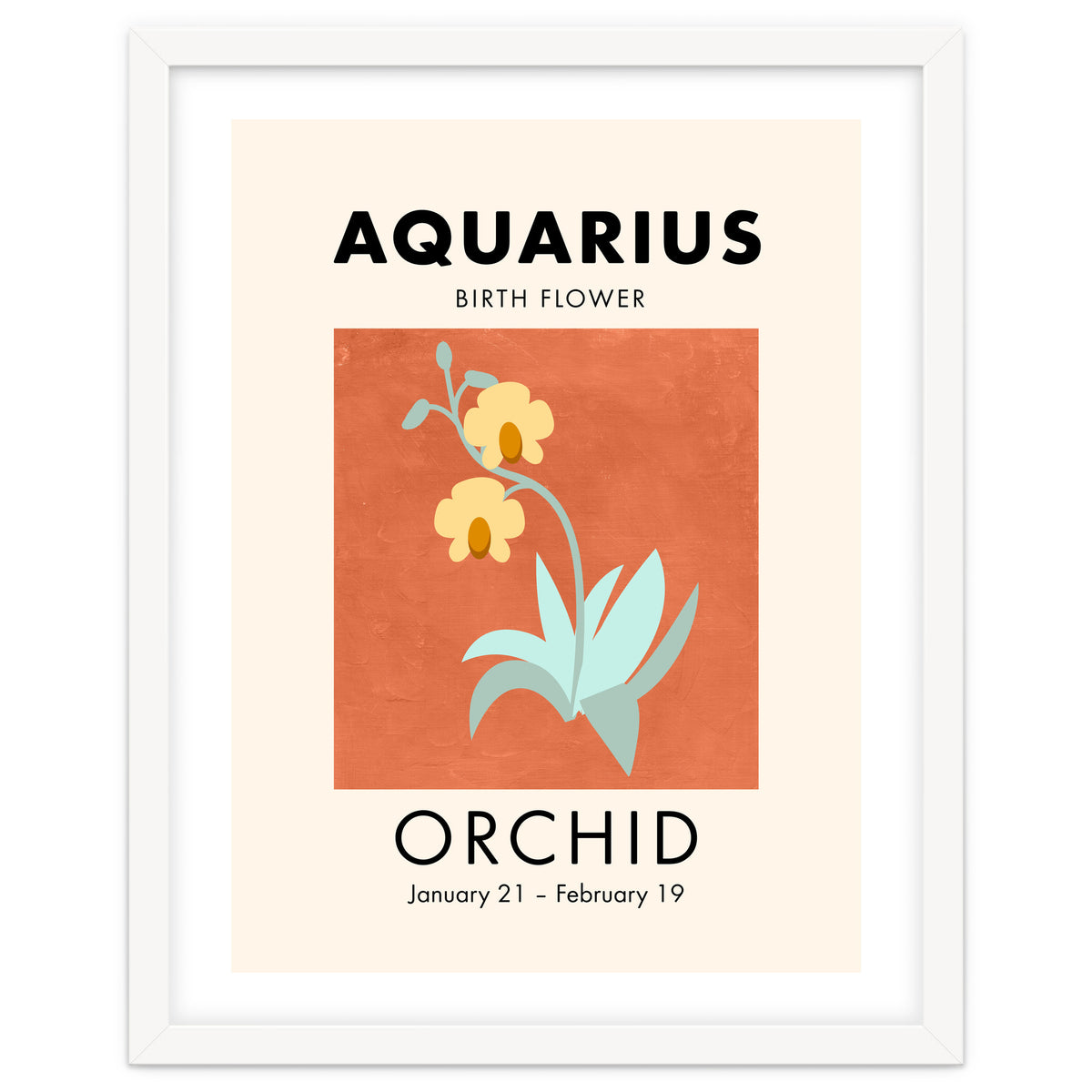 Aquarius Birth Flower Orchid