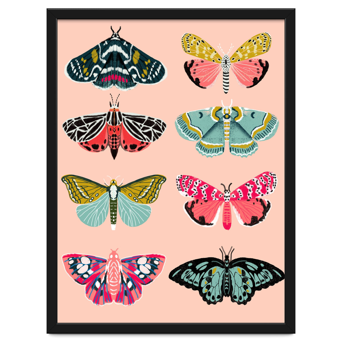 Lepidoptery No. 1