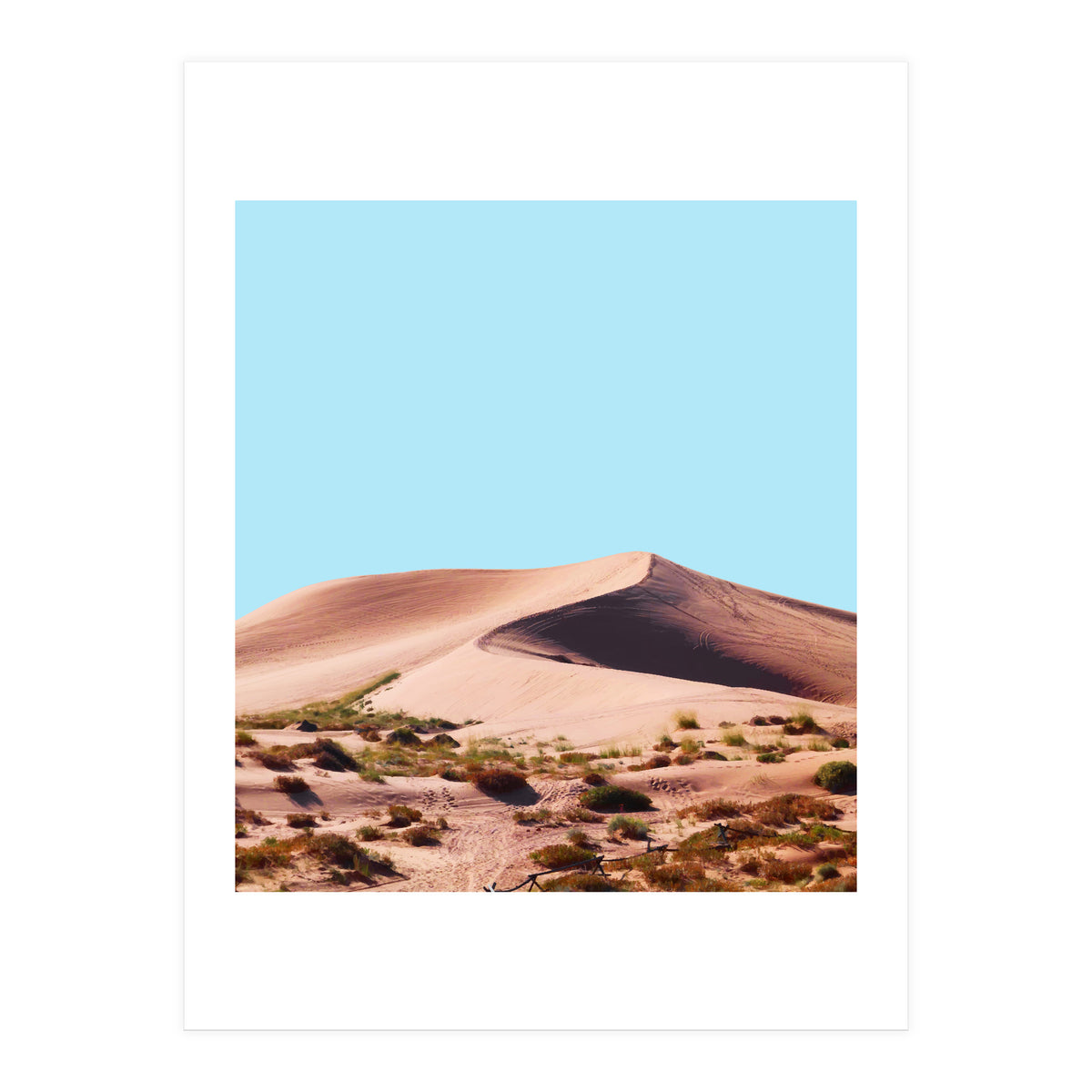 Oasis (Print Only)