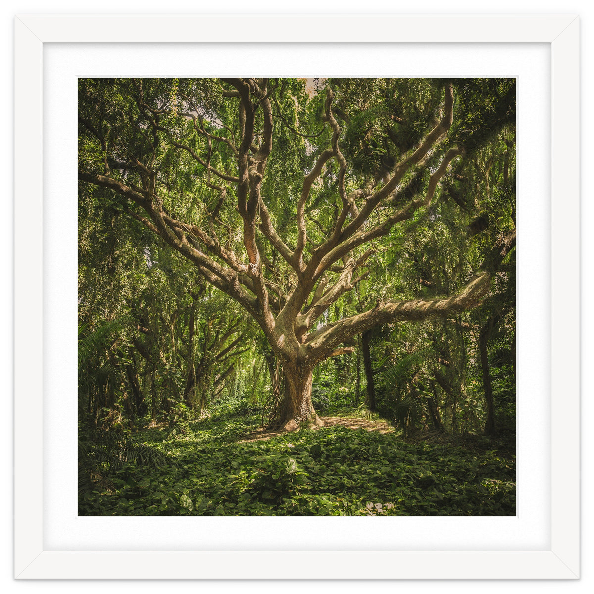 Spirits inside the wood