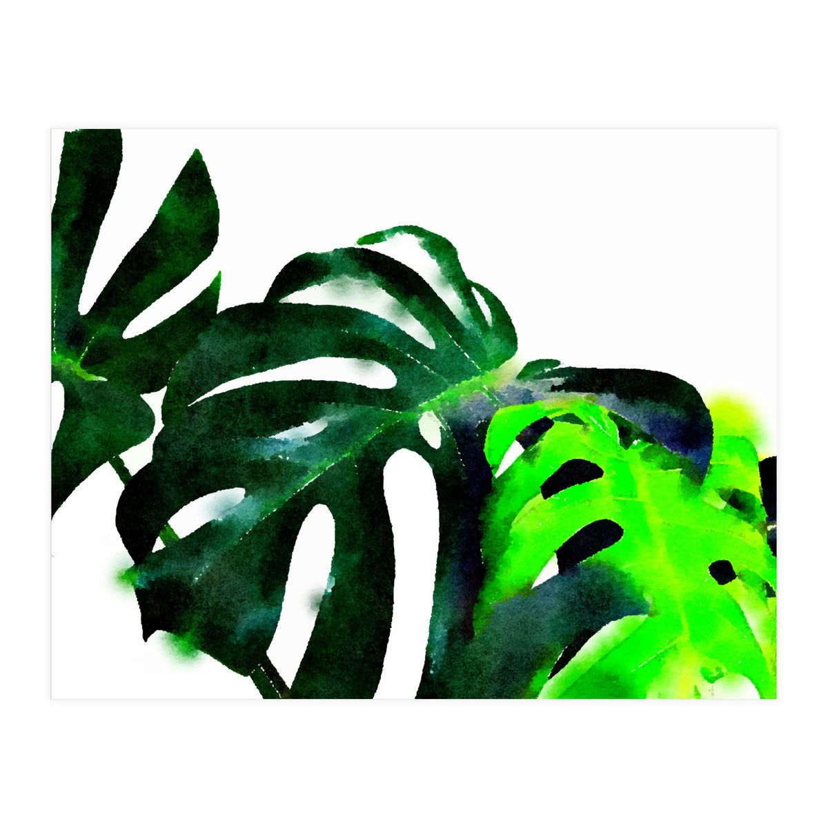 Fresh Leaves (Print Only)