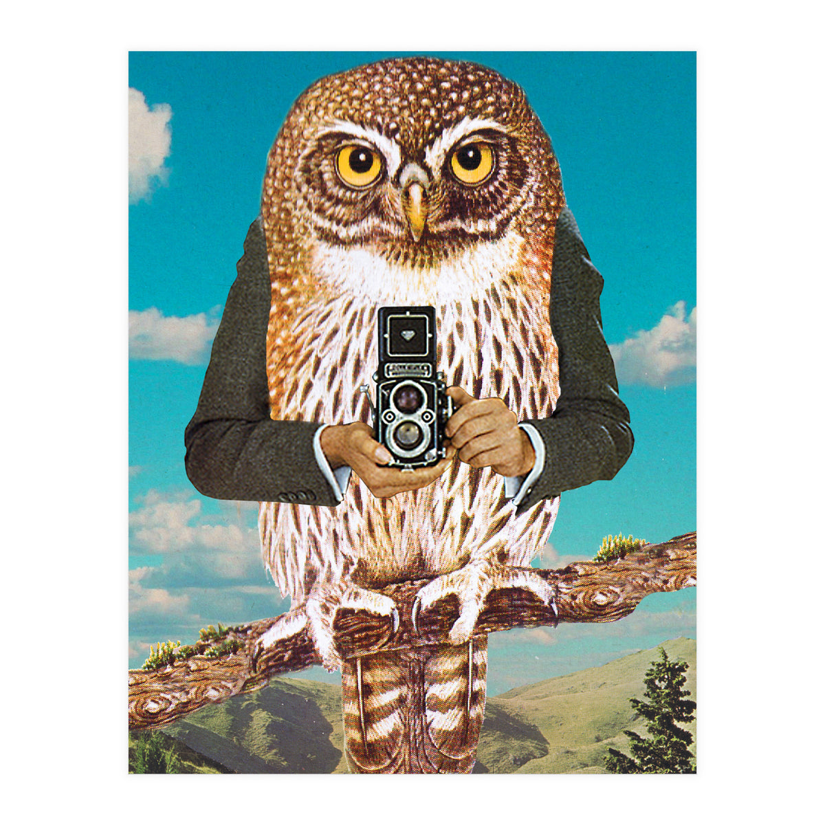 Just Say Cheese (Print Only)