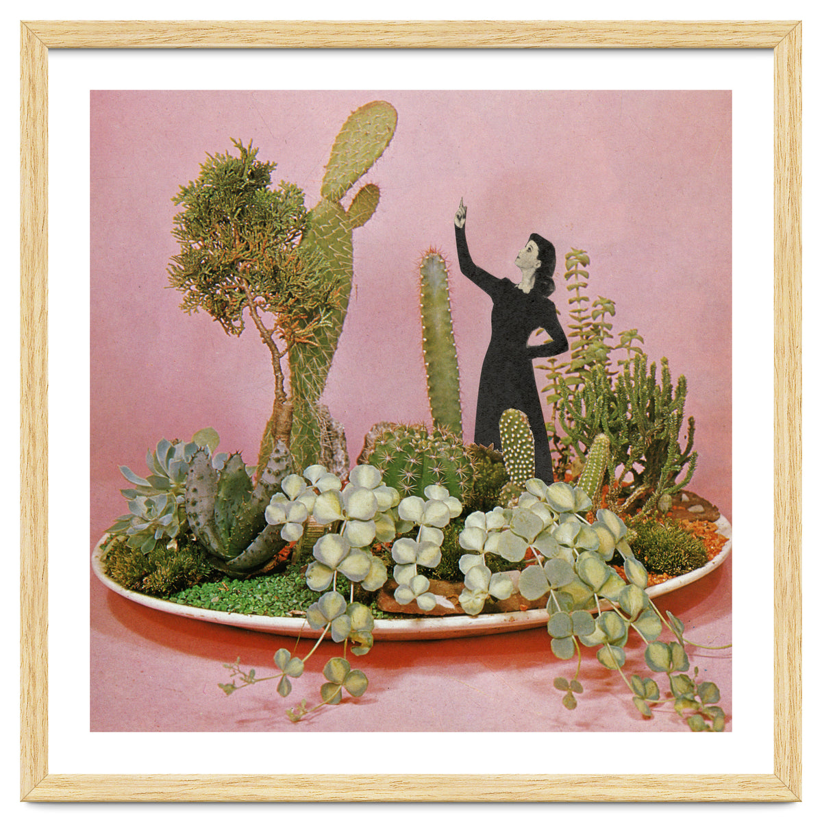 The Wonders Of Cactus Island