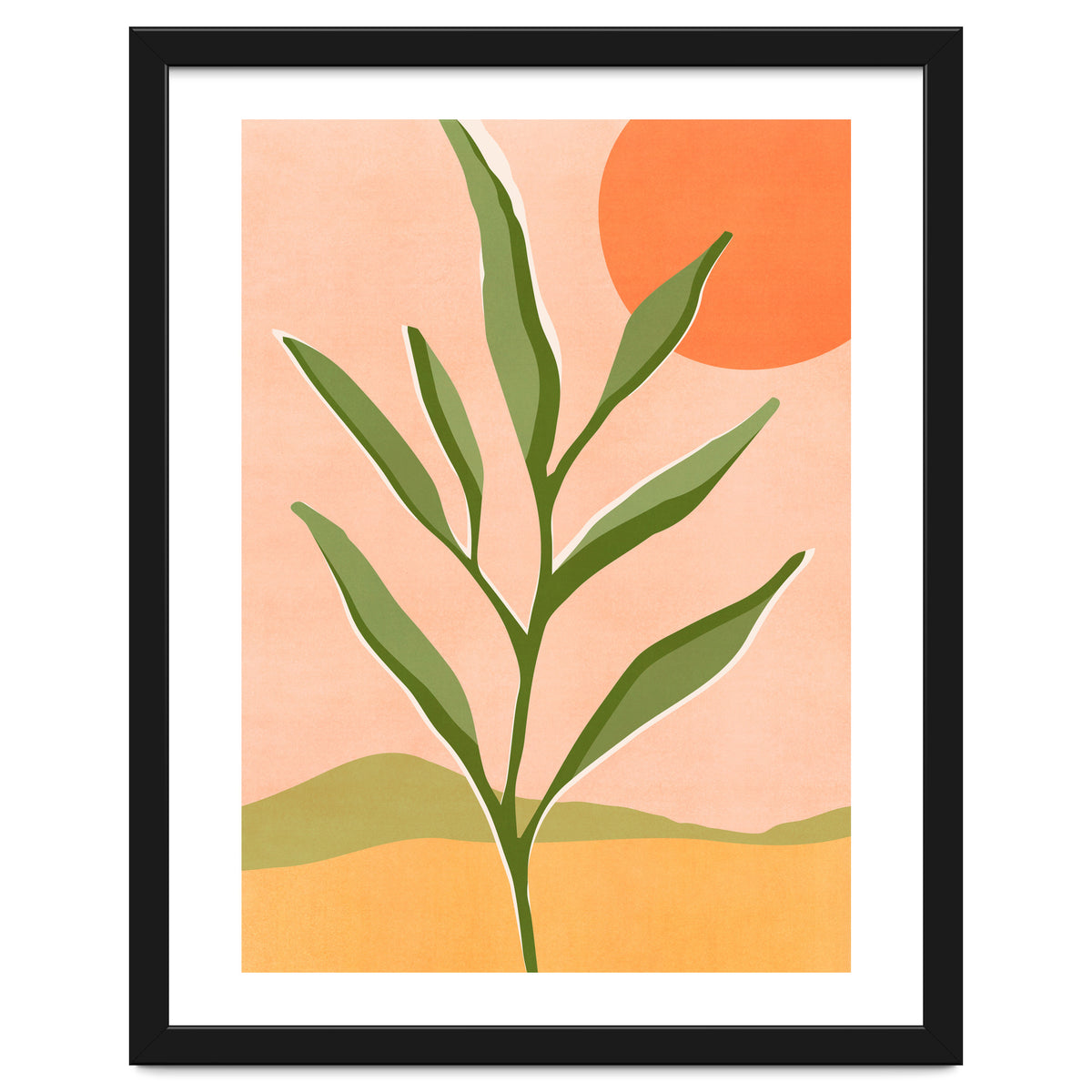 The Sun and The Succulent