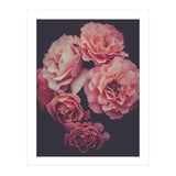 Dreamy Roses (Print Only) thumbnail