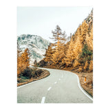 Snow and Golden Pine (Print Only) thumbnail