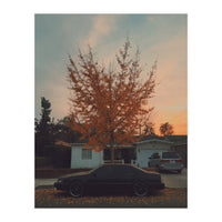 Autumn tree (Print Only)
