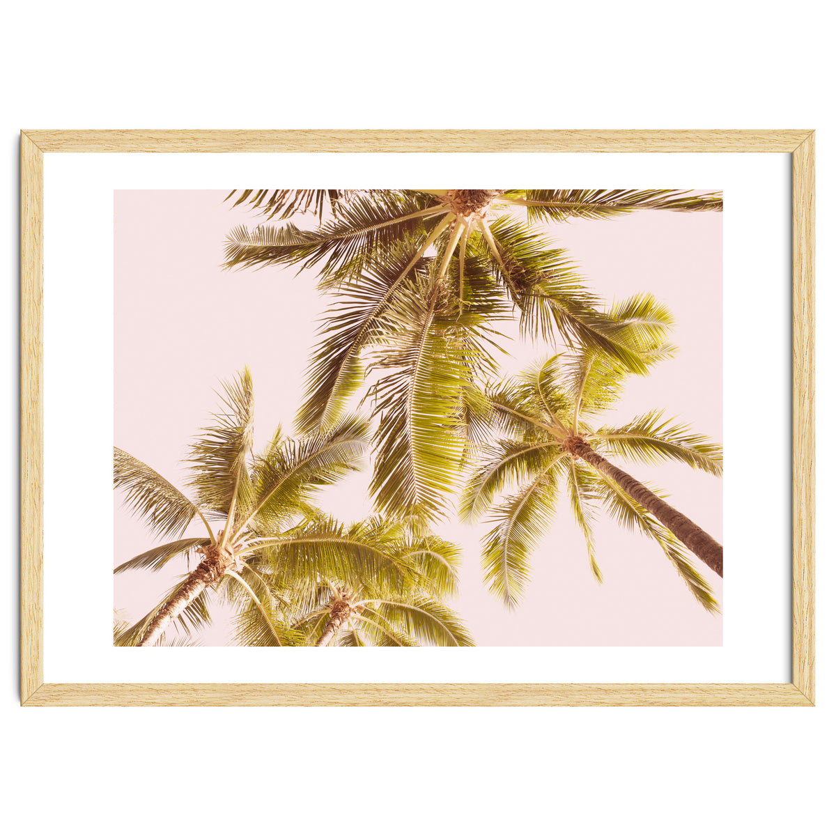 Blush Pink Boho Palm Trees