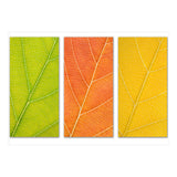 Autumn Leaves (Print Only) thumbnail