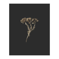 Gold Burst Botanicals - Square (Print Only)