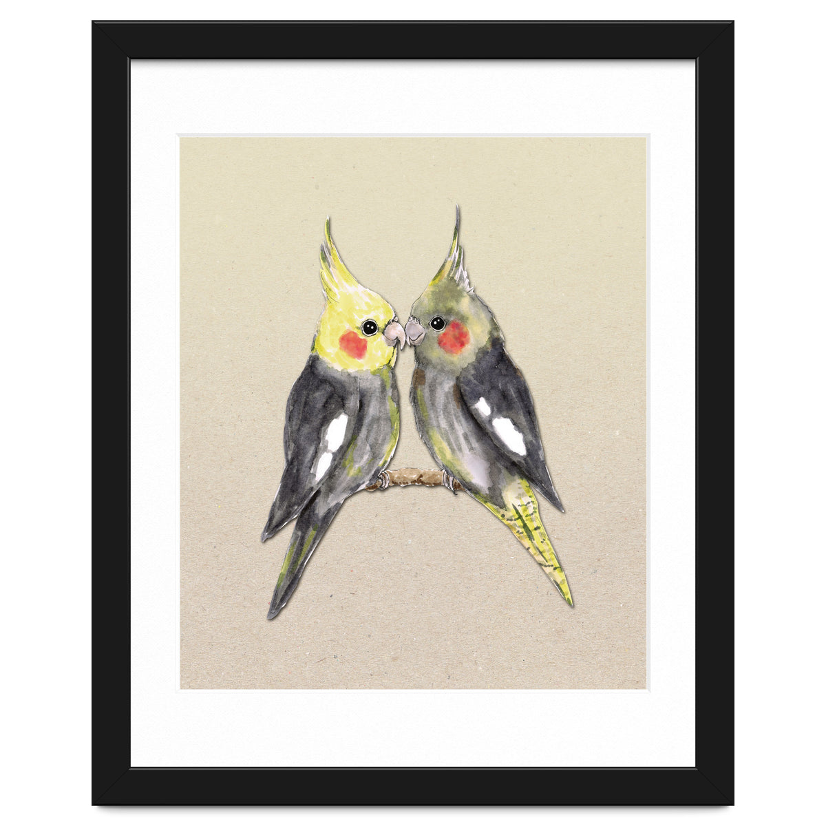 Two cute cockatiels