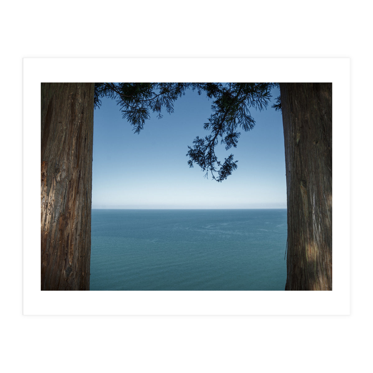 Picture Postcard Perfect (Print Only)