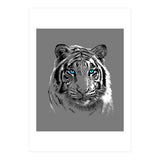 Sketch Tiger (Print Only) thumbnail