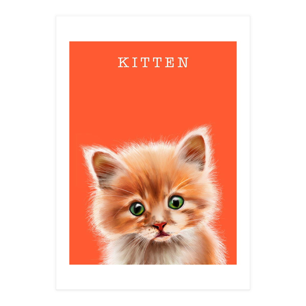 Kitten (Print Only)