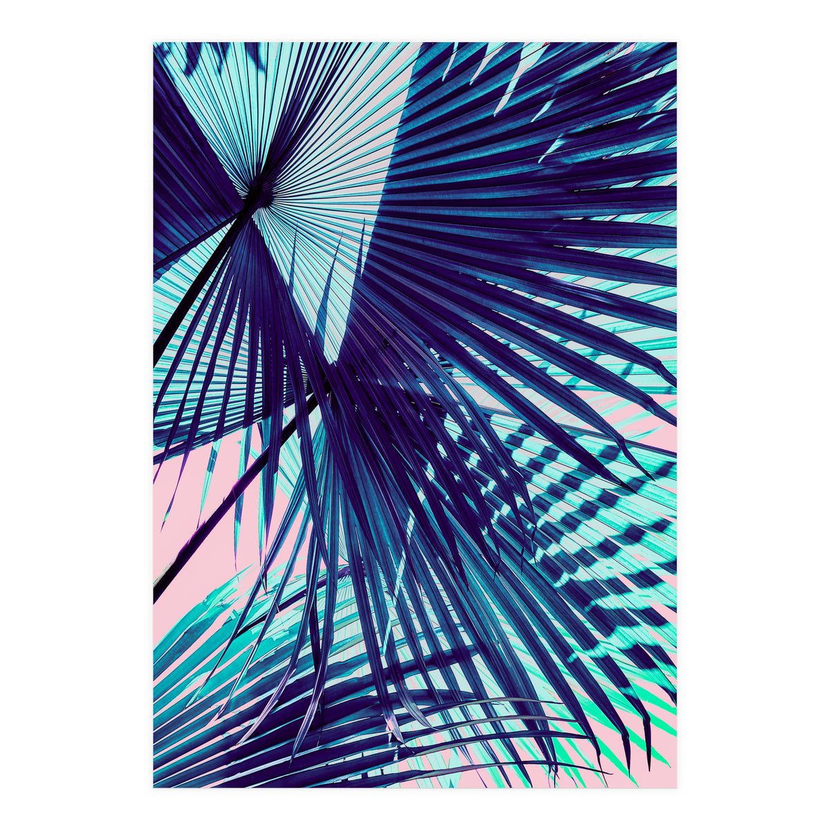Palm leaf on the beach (Print Only)