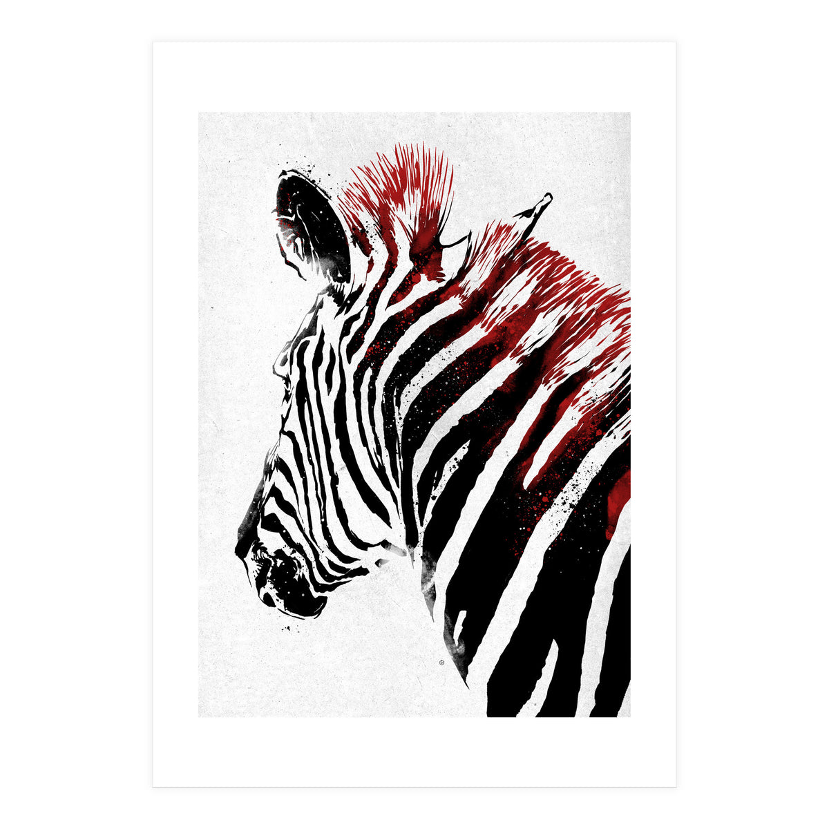 Zebra (Print Only)