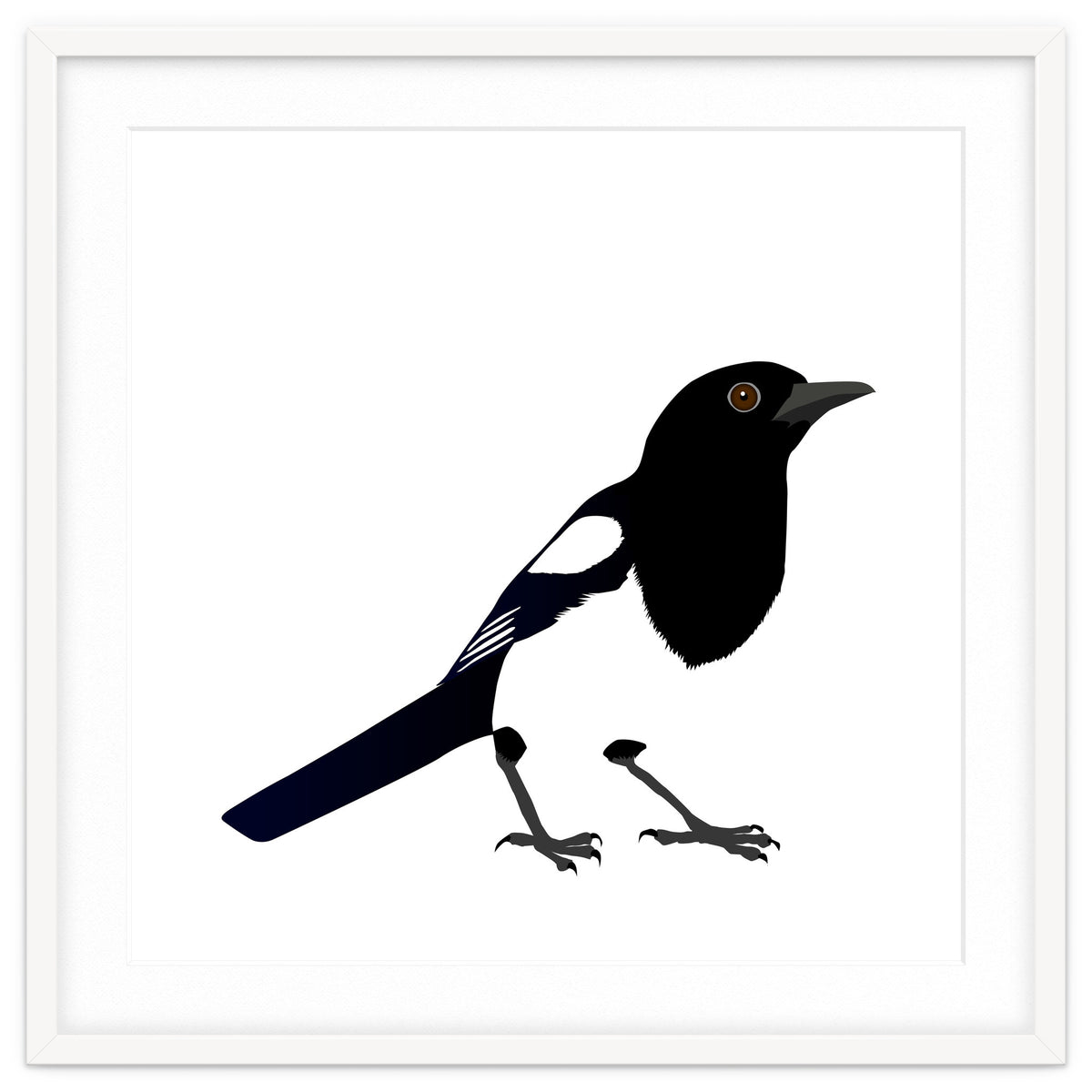 Magpie