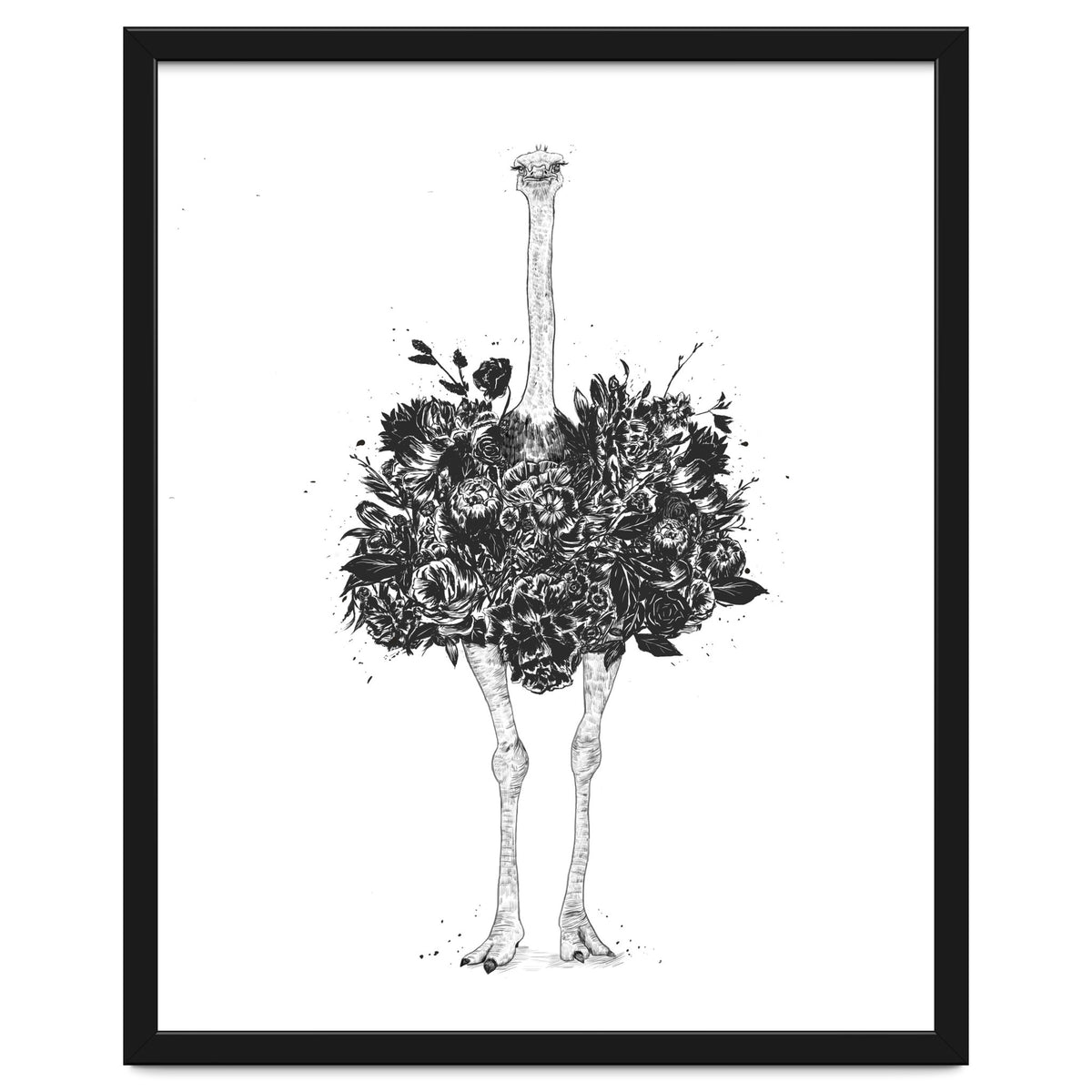 Floral Ostrich