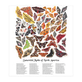 Saturniid Moths of North America (Print Only) thumbnail