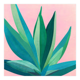 Southwest Agave (Print Only) thumbnail