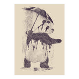 Fading (Print Only) thumbnail