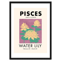 Pisces Birth Flower Water Lily
