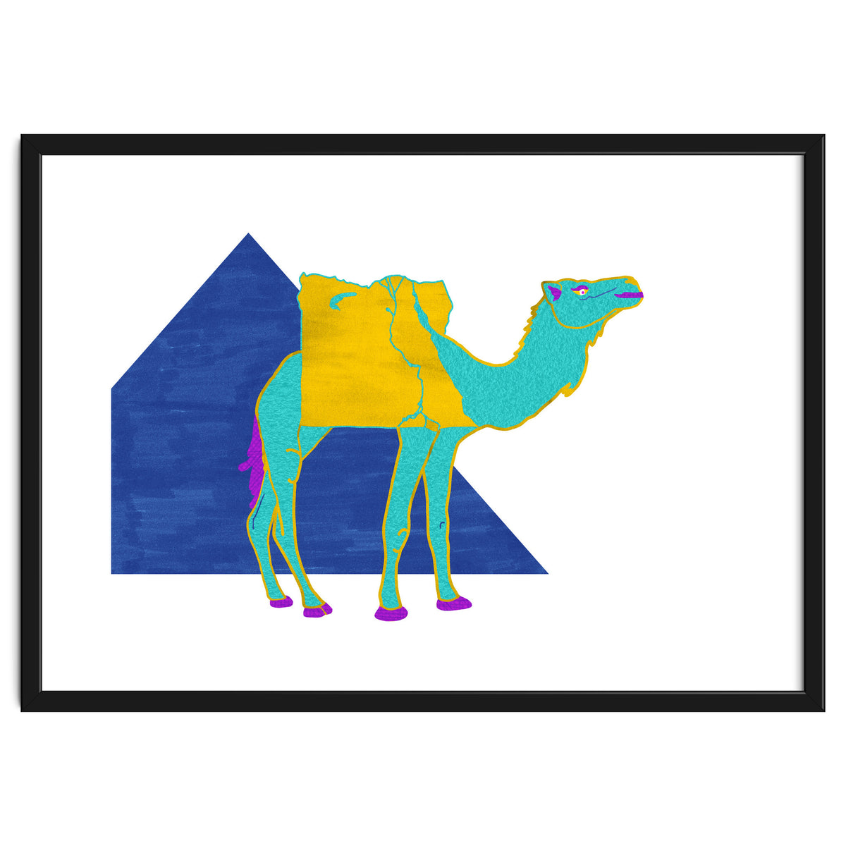 Egyptian Dromedary
