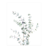 Eucalyptus Branch (Print Only) thumbnail
