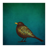 Camouflage: The Blackbird (Print Only) thumbnail