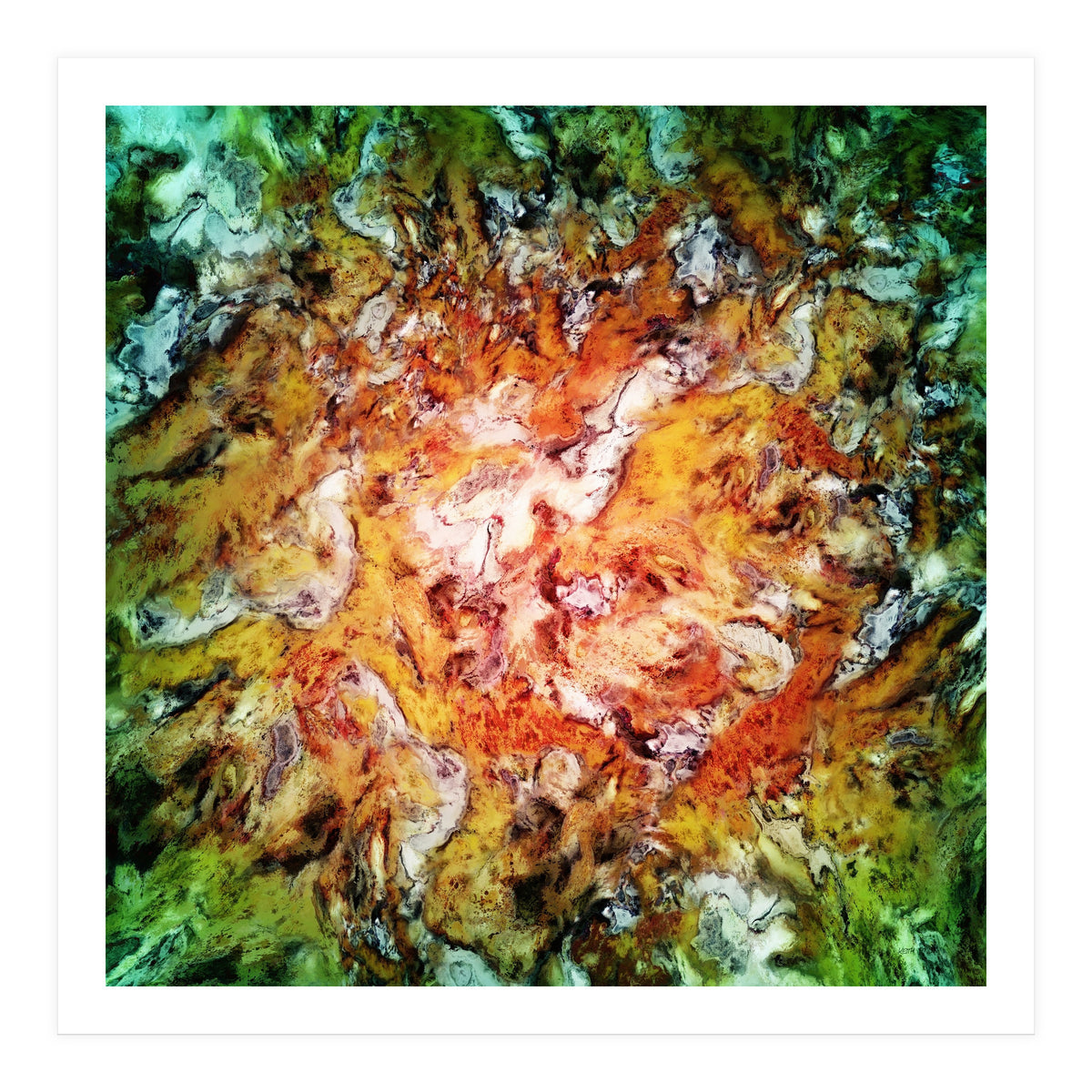 The Natural Light (Print Only)