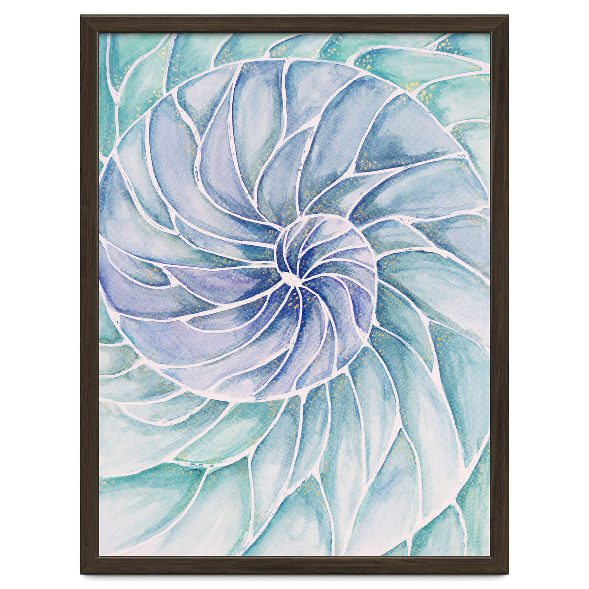 The inside of a shell