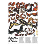 Maine Butterflies Chart (Print Only) thumbnail