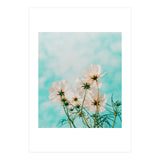 Fiona (Print Only) thumbnail