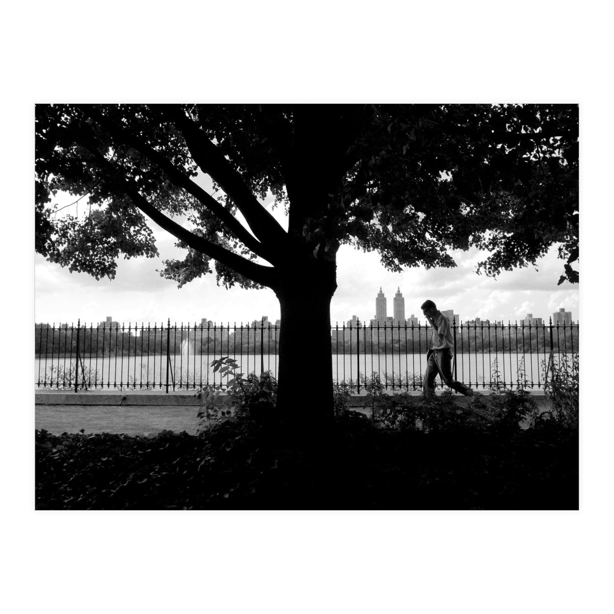 Central Park, New York City (Print Only)