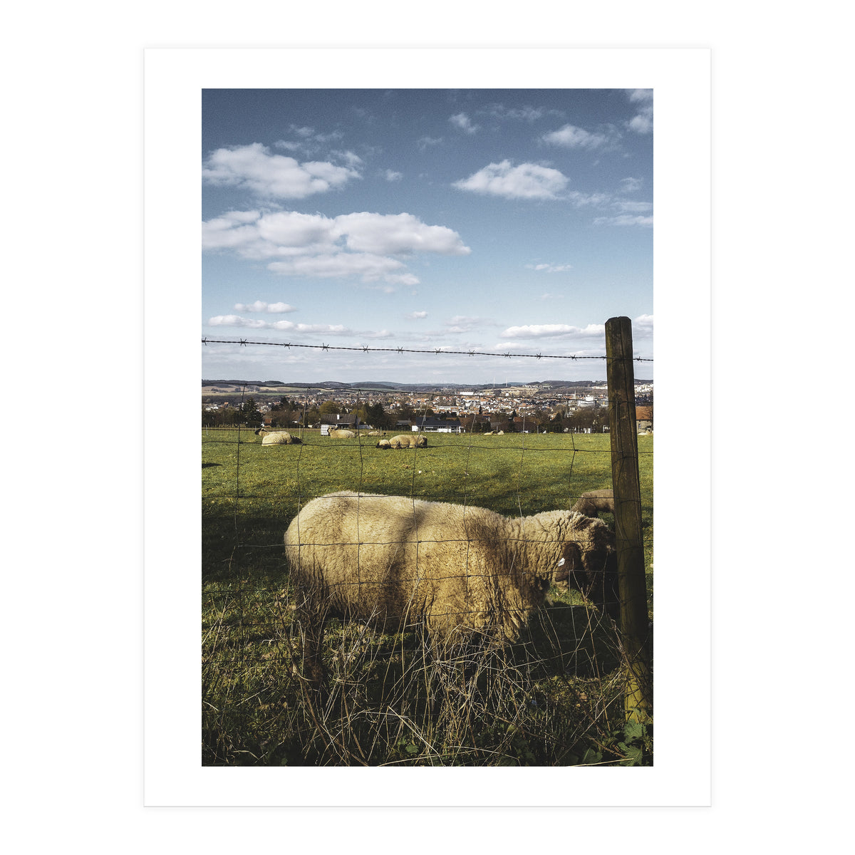 Bucolism 5 (Print Only)