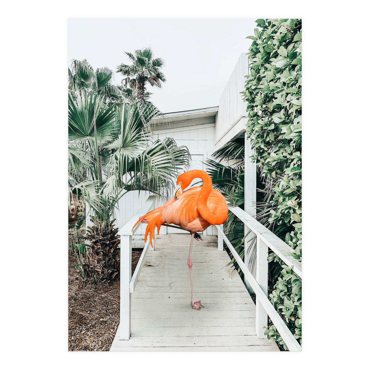 Flamingo Beach House (Print Only)
